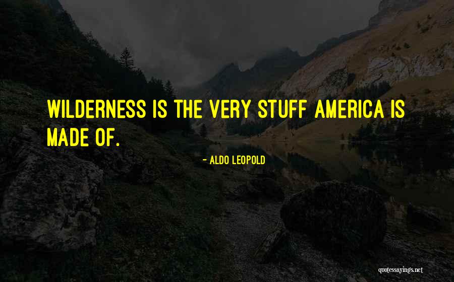 Infantry Soldiers Quotes By Aldo Leopold Infantry Soldiers Quotes By Aldo Leopold