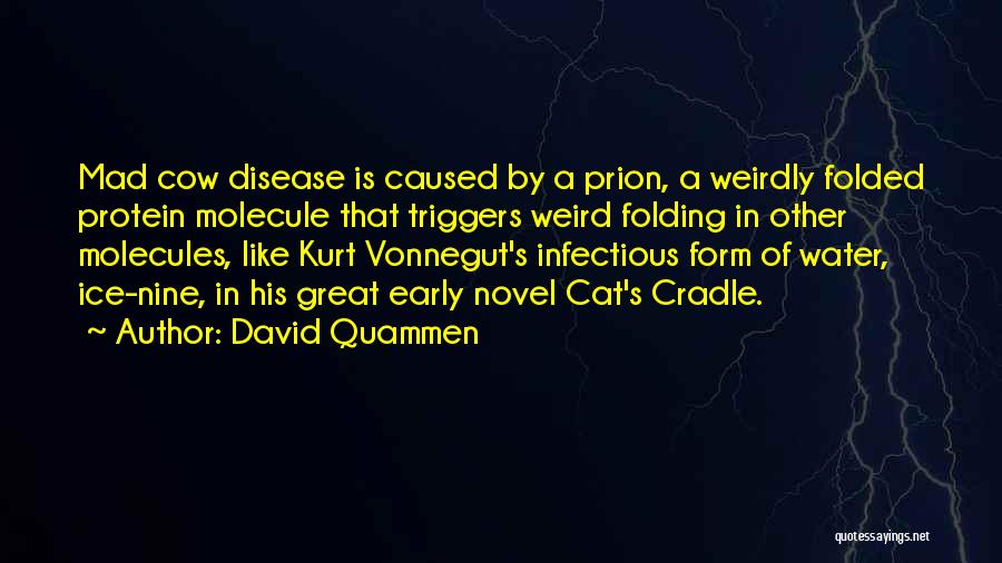 Infectious Disease Quotes By David Quammen