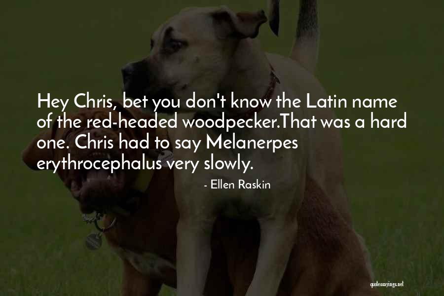 Infelix Quotes By Ellen Raskin Infelix Quotes By Ellen Raskin