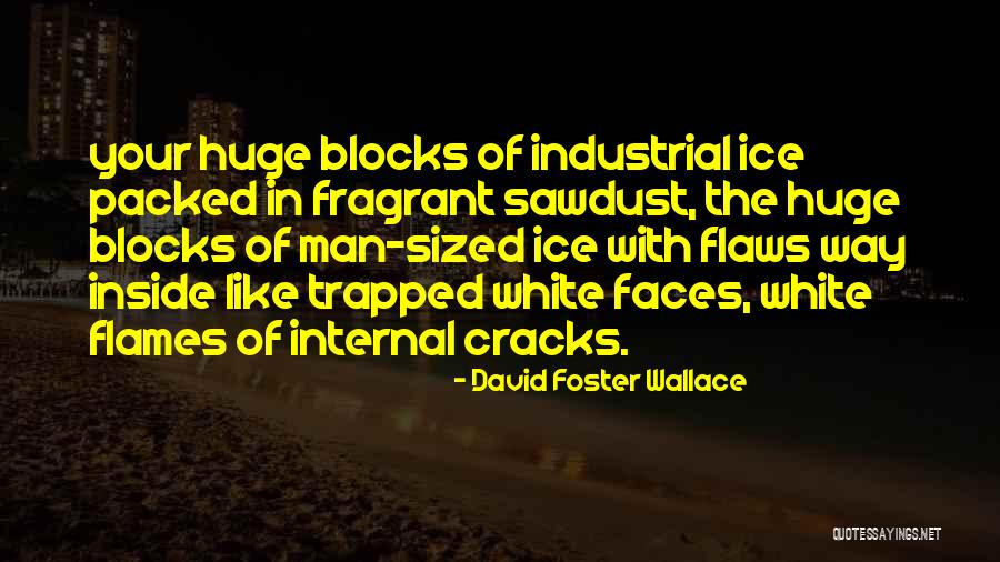 Inferiores Cordoba Quotes By David Foster Wallace Inferiores Cordoba Quotes By David Foster Wallace