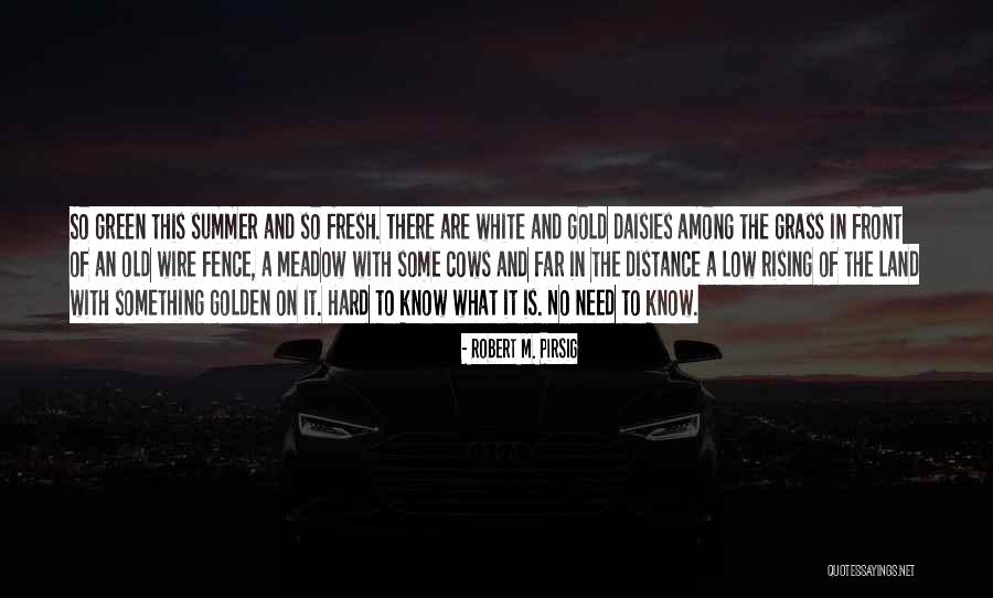 Inferiour Quotes By Robert M. Pirsig Inferiour Quotes By Robert M. Pirsig