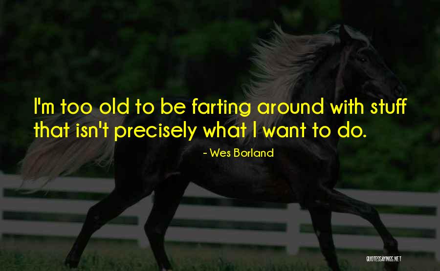 Infest Band Quotes By Wes Borland Infest Band Quotes By Wes Borland