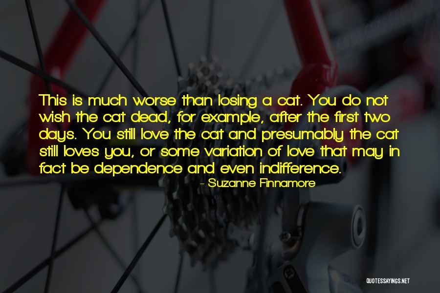 Infidelity In Love Quotes By Suzanne Finnamore