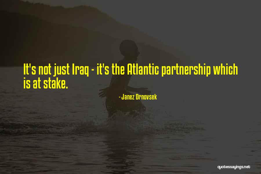 Infiltrasi Tanah Quotes By Janez Drnovsek