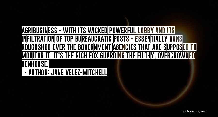 Infiltration Quotes By Jane Velez-Mitchell