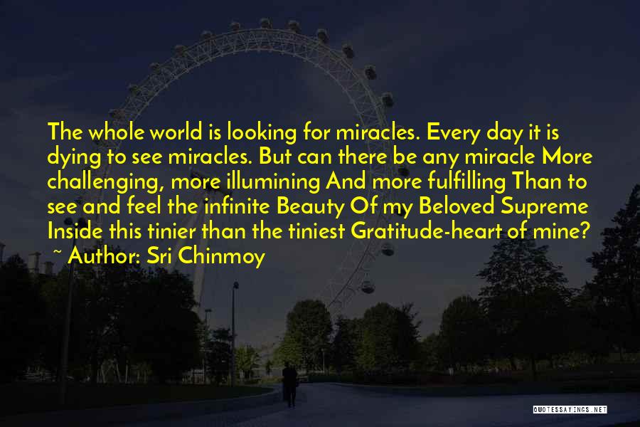 Infinite Beauty Quotes By Sri Chinmoy