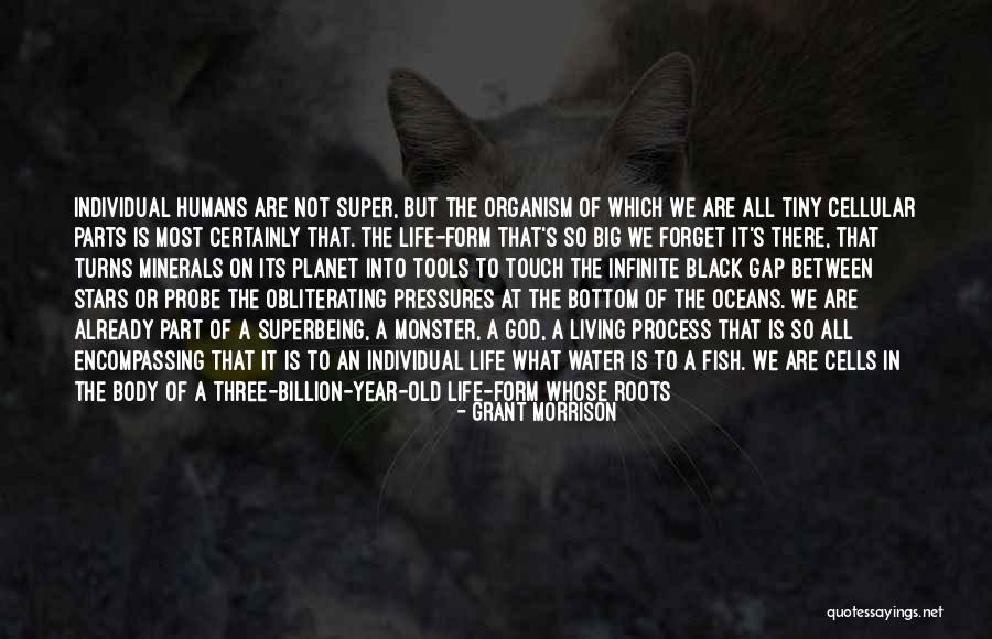 Infinite In Between Quotes By Grant Morrison Infinite In Between Quotes By Grant Morrison