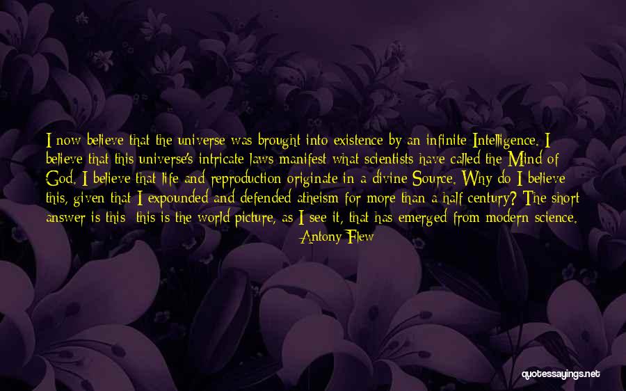 Infinite Intelligence Quotes By Antony Flew