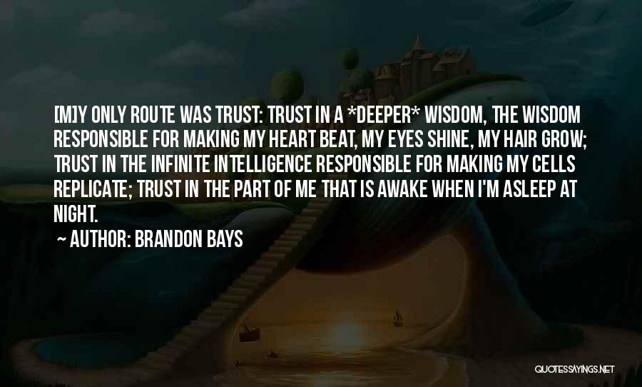 Infinite Intelligence Quotes By Brandon Bays