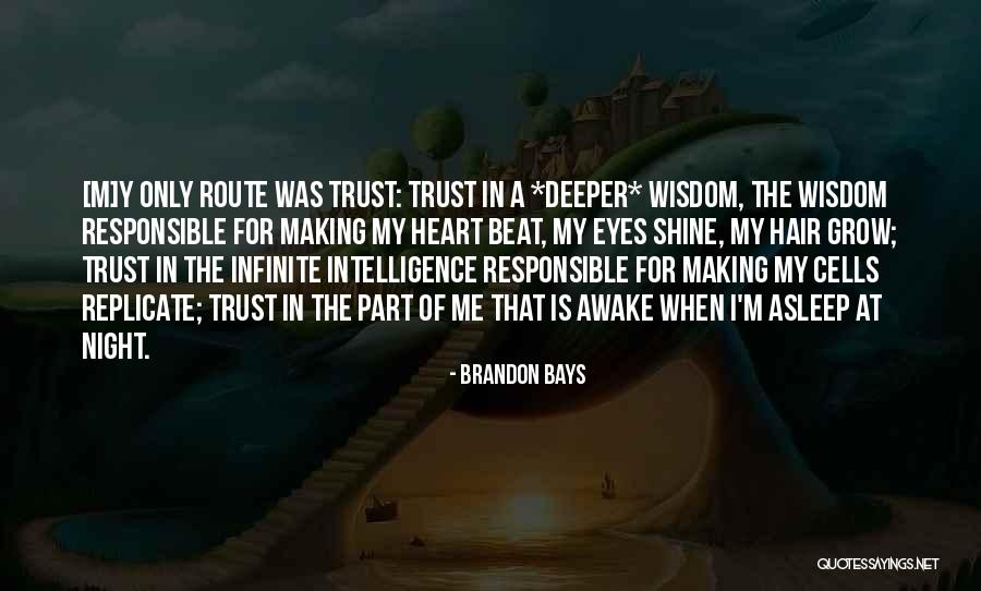 Infinite Intelligence Quotes By Brandon Bays Infinite Intelligence Quotes By Brandon Bays