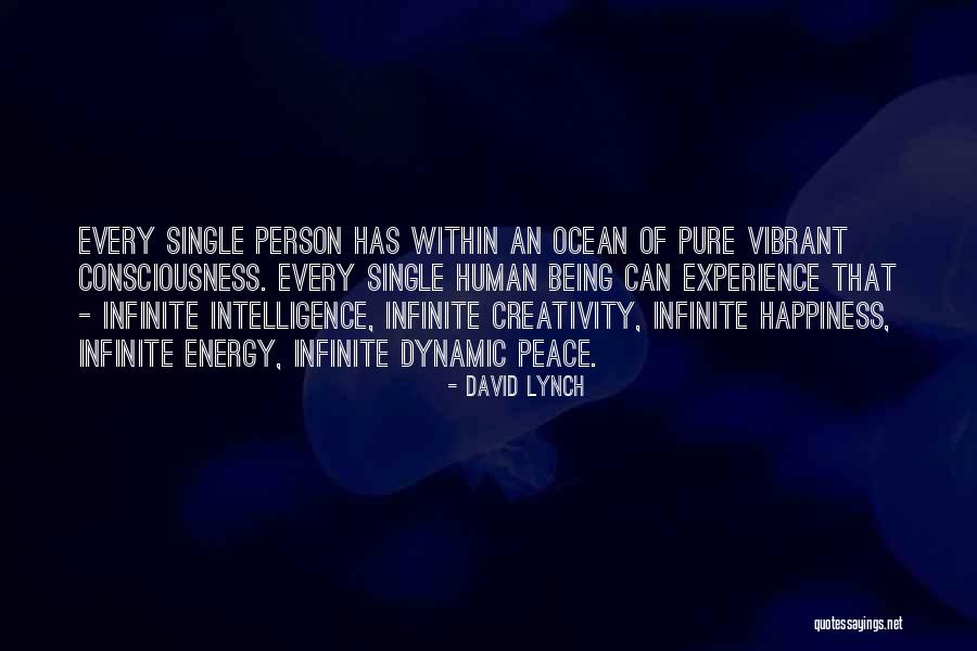 Infinite Intelligence Quotes By David Lynch