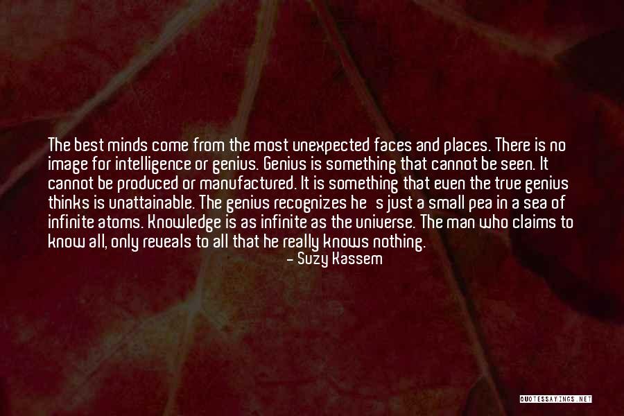 Infinite Intelligence Quotes By Suzy Kassem