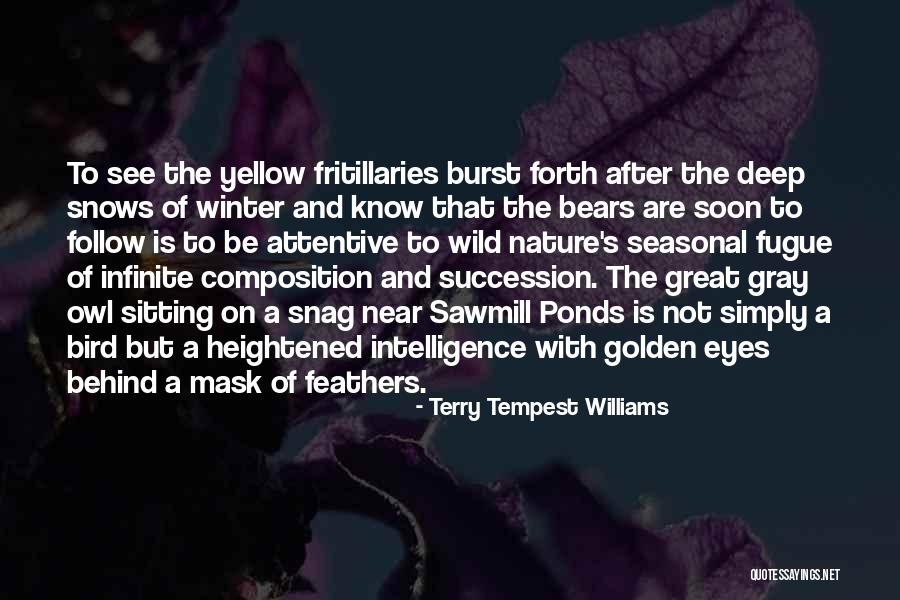 Infinite Intelligence Quotes By Terry Tempest Williams Infinite Intelligence Quotes By Terry Tempest Williams