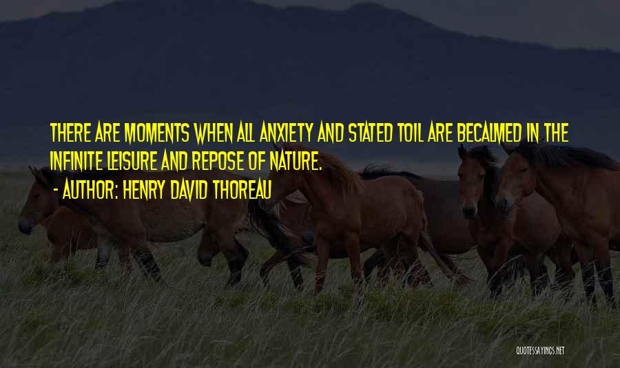 Infinite Moments Quotes By Henry David Thoreau