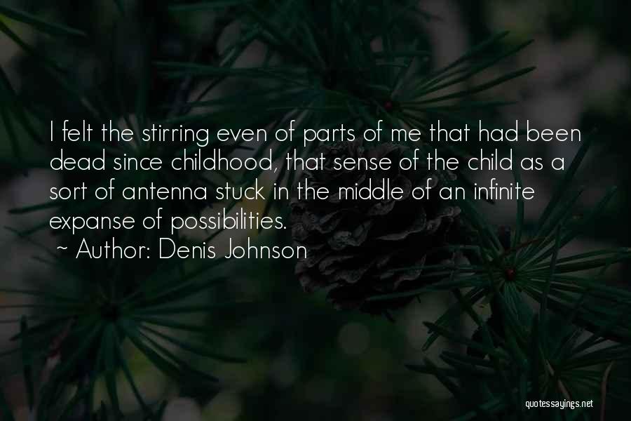 Infinite Possibilities Quotes By Denis Johnson