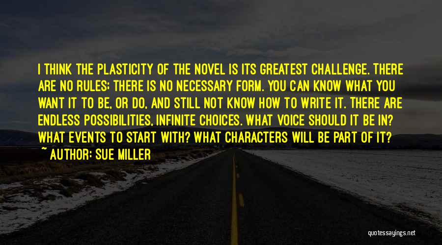 Infinite Possibilities Quotes By Sue Miller