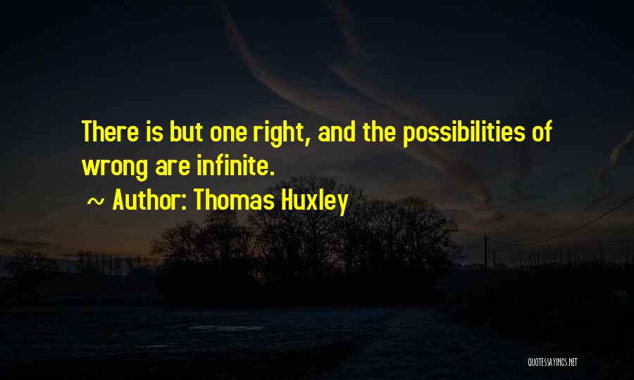 Infinite Possibilities Quotes By Thomas Huxley