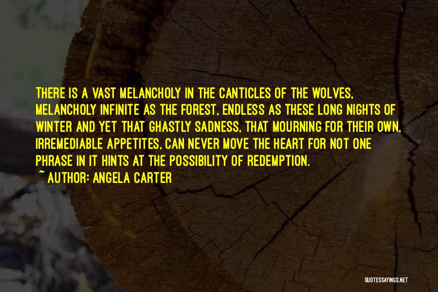 Infinite Sadness Quotes By Angela Carter