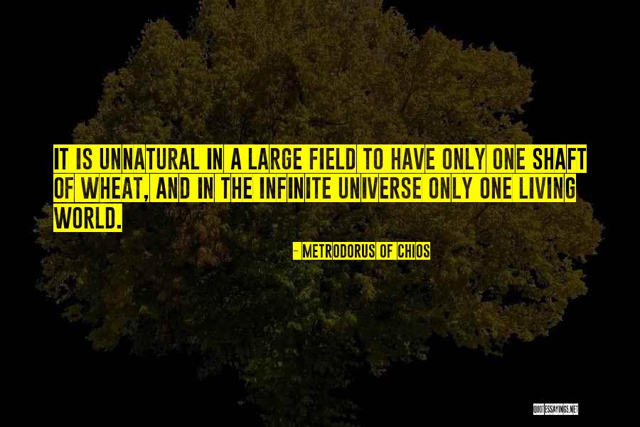 Infinite Universe Quotes By Metrodorus Of Chios Infinite Universe Quotes By Metrodorus Of Chios