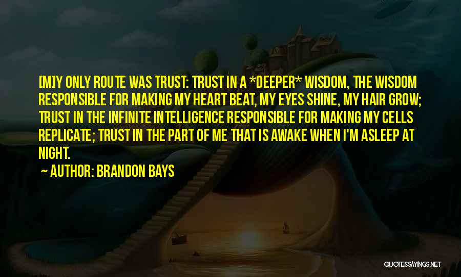 Infinite Wisdom Quotes By Brandon Bays