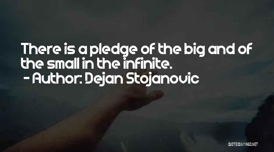 Infinite Wisdom Quotes By Dejan Stojanovic