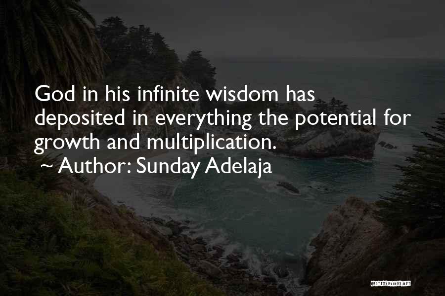 Infinite Wisdom Quotes By Sunday Adelaja