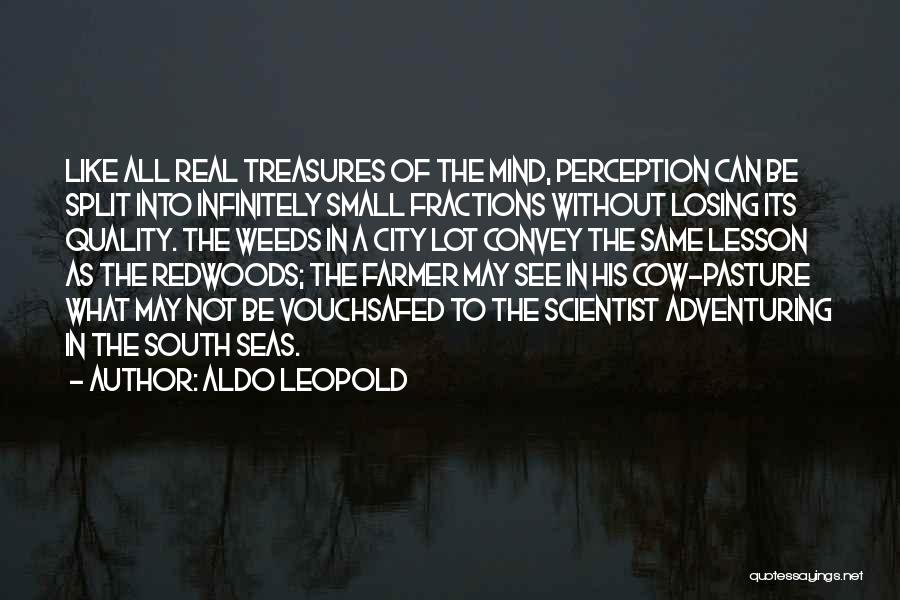 Infinitely Small Quotes By Aldo Leopold