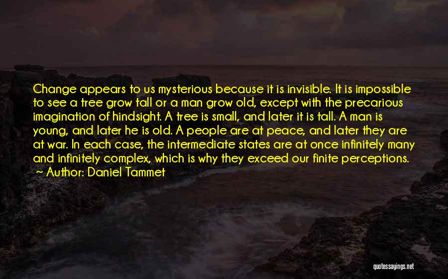 Infinitely Small Quotes By Daniel Tammet