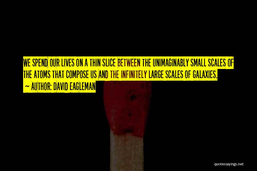 Infinitely Small Quotes By David Eagleman