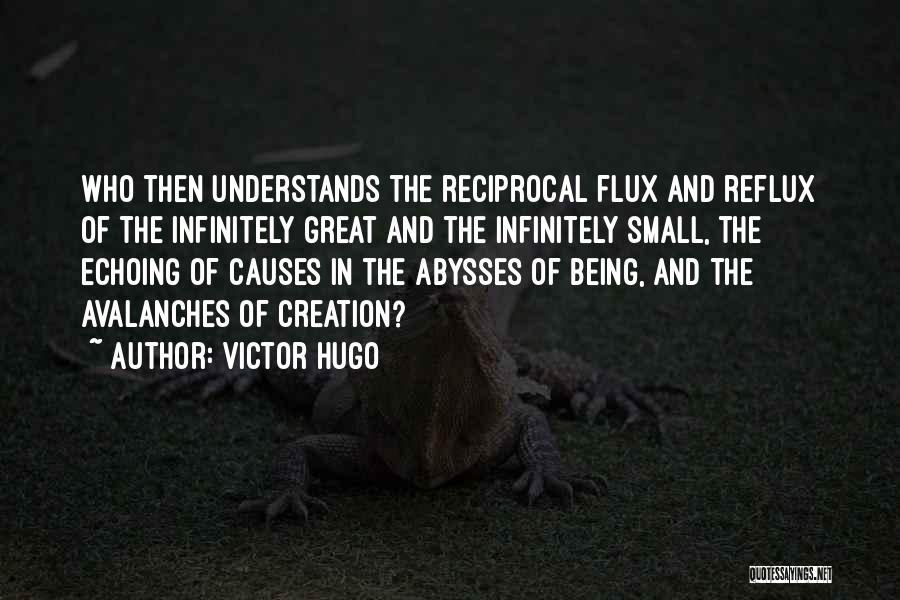 Infinitely Small Quotes By Victor Hugo