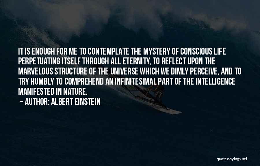 Infinitesimal Quotes By Albert Einstein