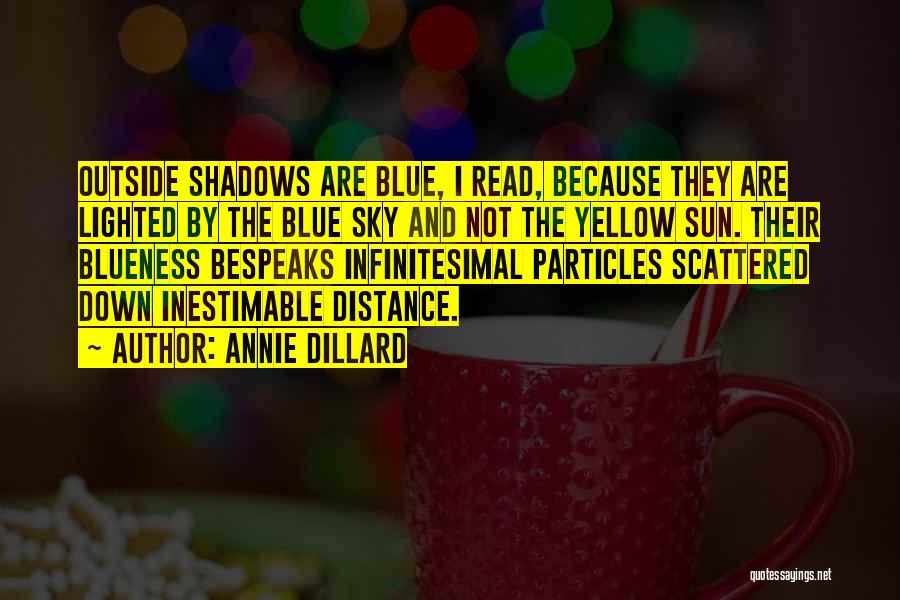 Infinitesimal Quotes By Annie Dillard