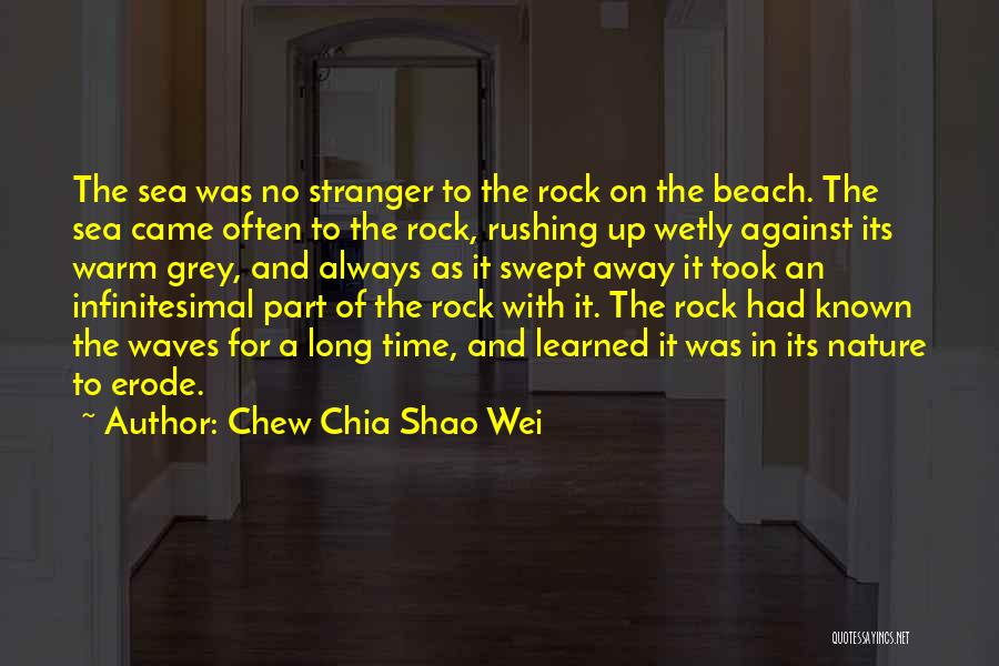 Infinitesimal Quotes By Chew Chia Shao Wei