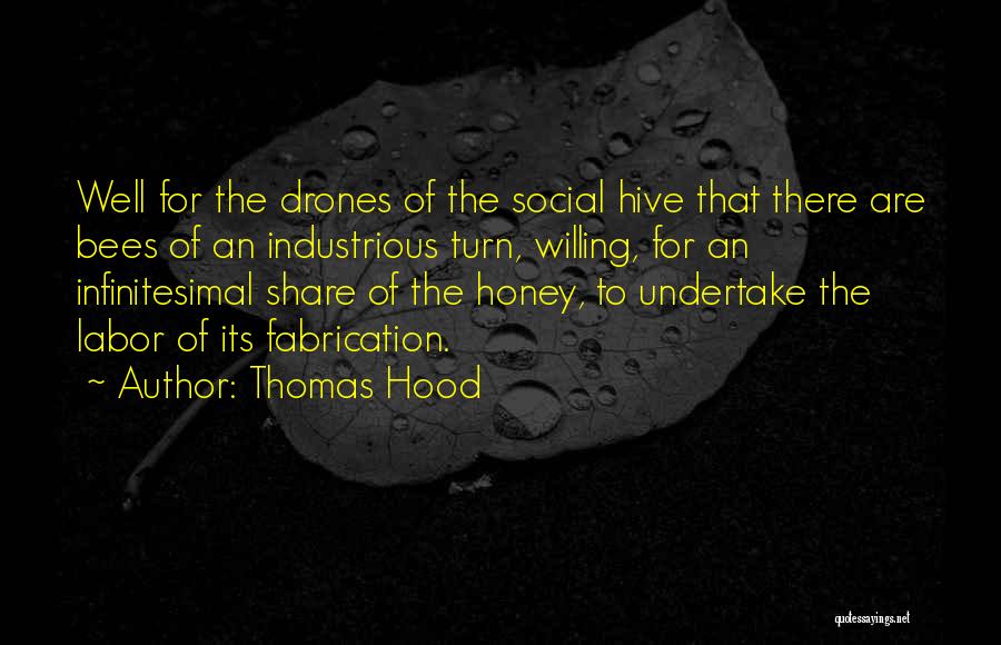 Infinitesimal Quotes By Thomas Hood