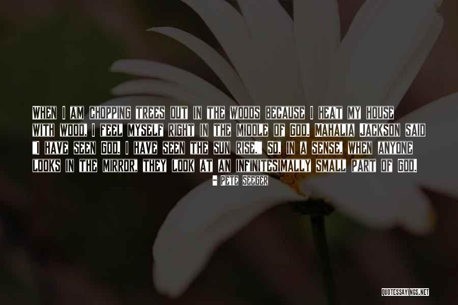 Infinitesimally Part Quotes By Pete Seeger Infinitesimally Part Quotes By Pete Seeger