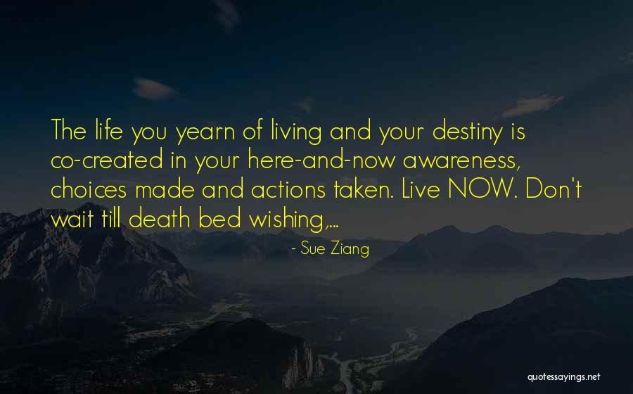 Infinitesimally Part Quotes By Sue Ziang Infinitesimally Part Quotes By Sue Ziang