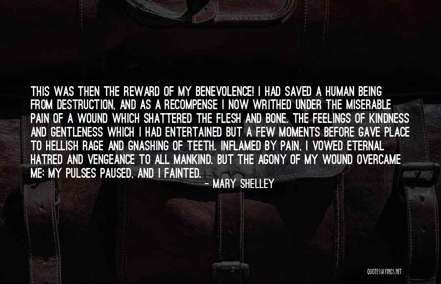 Inflamed Quotes By Mary Shelley Inflamed Quotes By Mary Shelley