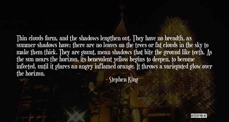 Inflamed Quotes By Stephen King