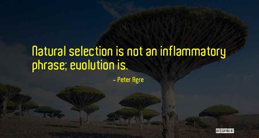 Inflammatory Quotes By Peter Agre Inflammatory Quotes By Peter Agre
