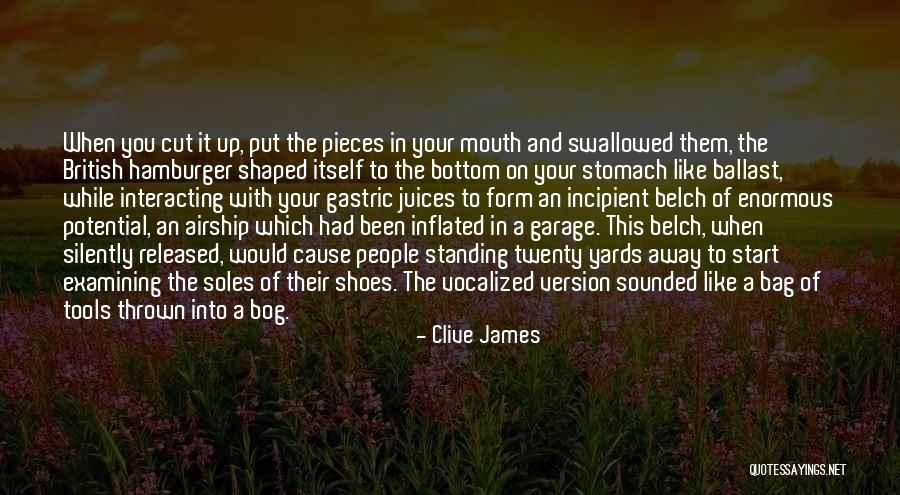 Inflated Self Quotes By Clive James Inflated Self Quotes By Clive James