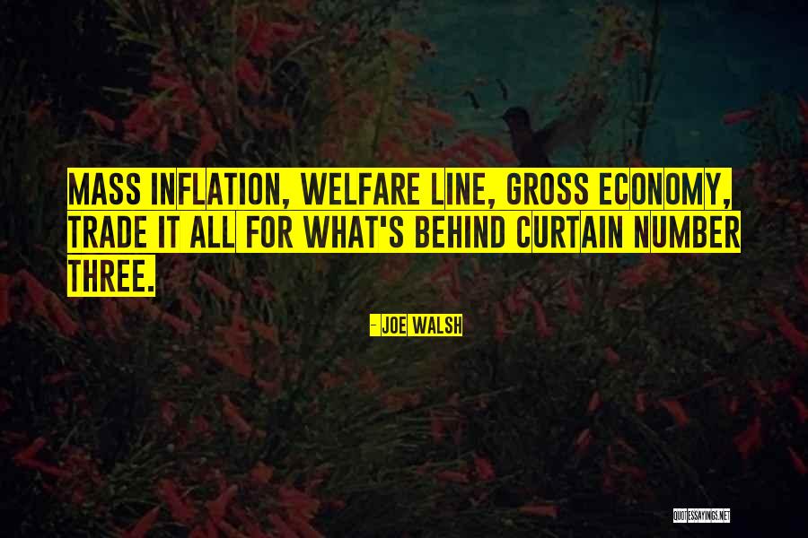 Inflation Quotes By Joe Walsh