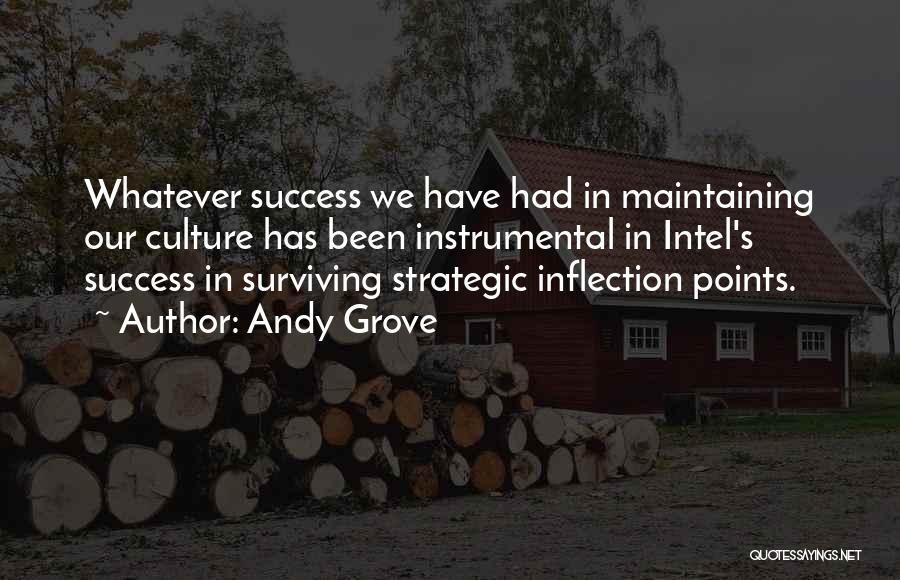 Inflection Points Quotes By Andy Grove