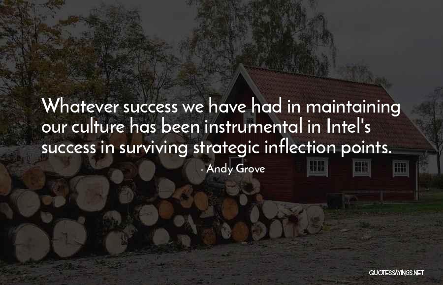 Inflection Points Quotes By Andy Grove