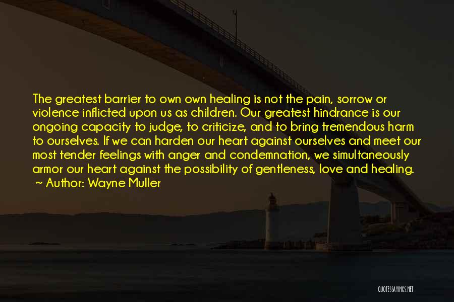 Inflicted Pain Quotes By Wayne Muller