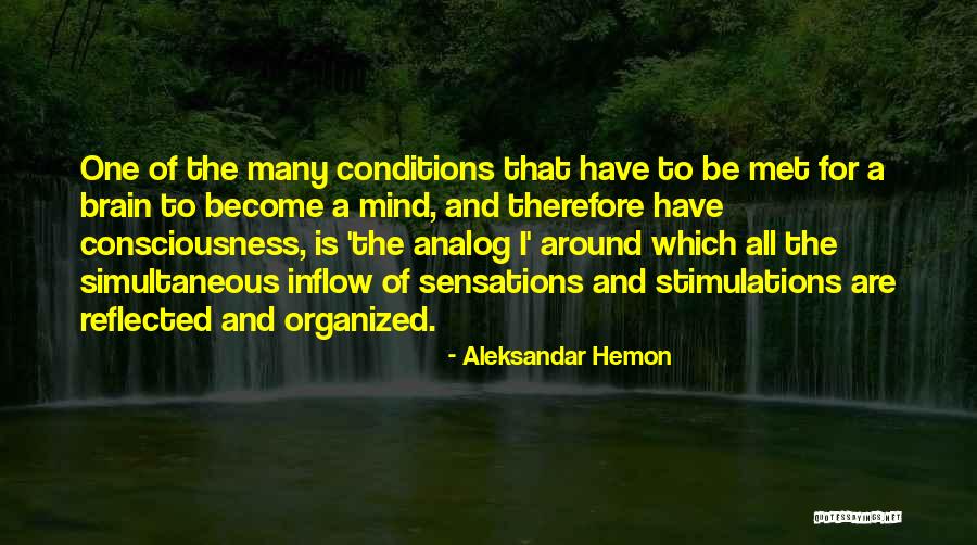 Inflorescence Of Sunflower Quotes By Aleksandar Hemon Inflorescence Of Sunflower Quotes By Aleksandar Hemon