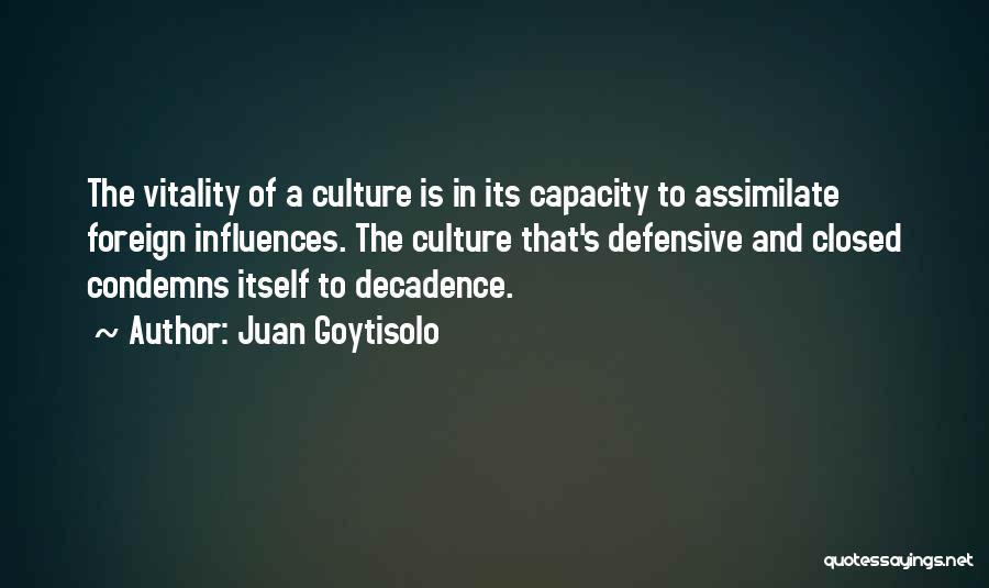 Influence And Quotes By Juan Goytisolo