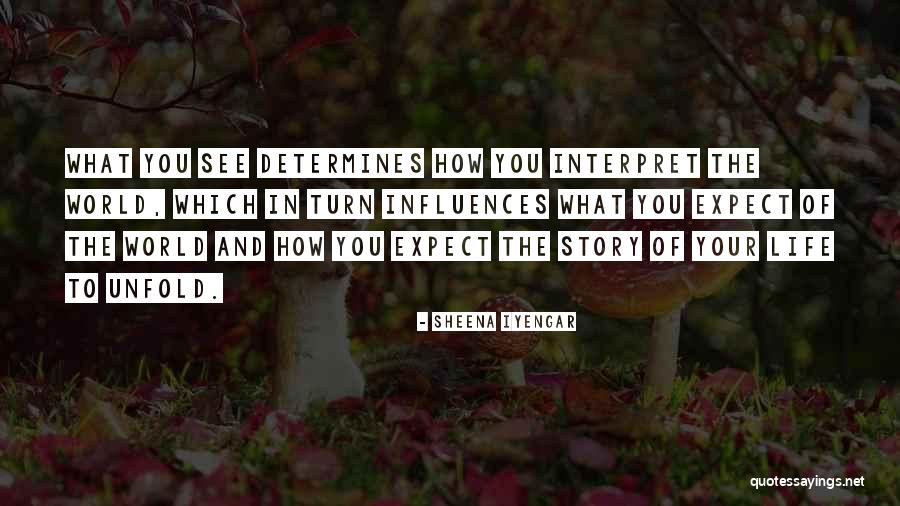 Influences In Life Quotes By Sheena Iyengar Influences In Life Quotes By Sheena Iyengar