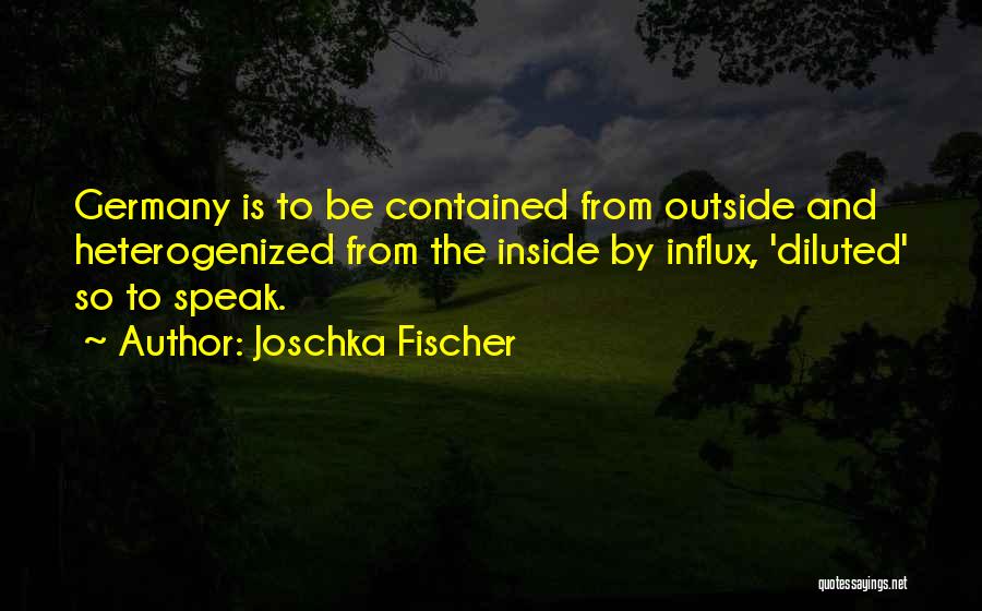 Influx Quotes By Joschka Fischer