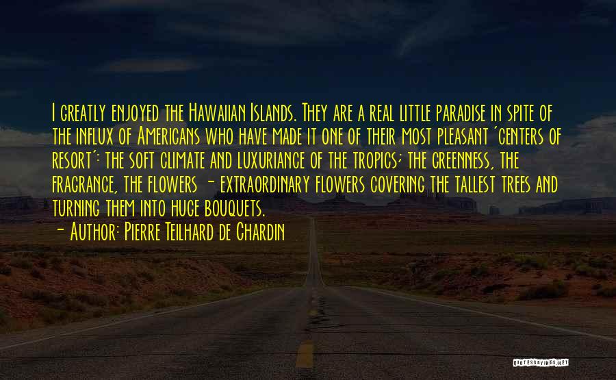 Influx Quotes By Pierre Teilhard De Chardin