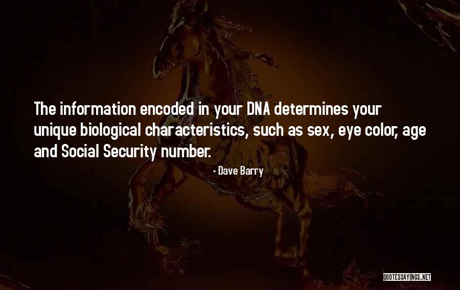 Information Age Quotes By Dave Barry